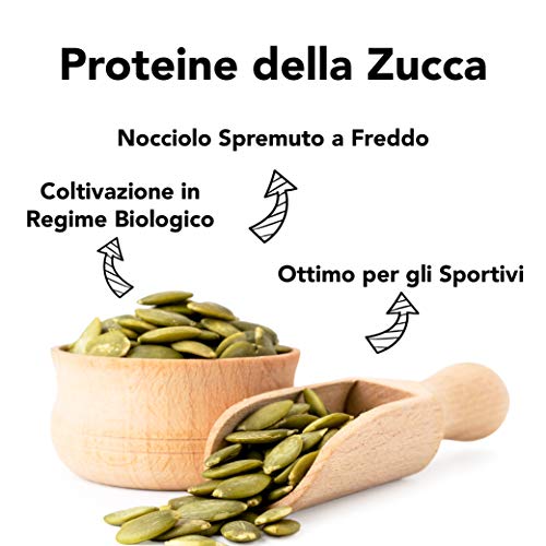 Proteine di Zucca