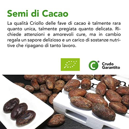 Semi Di Cacao Criollo (Fave) Bio 4