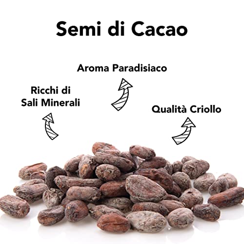 Semi Di Cacao Criollo (Fave) Bio 5