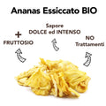 Ananas Disidratato Bio 5